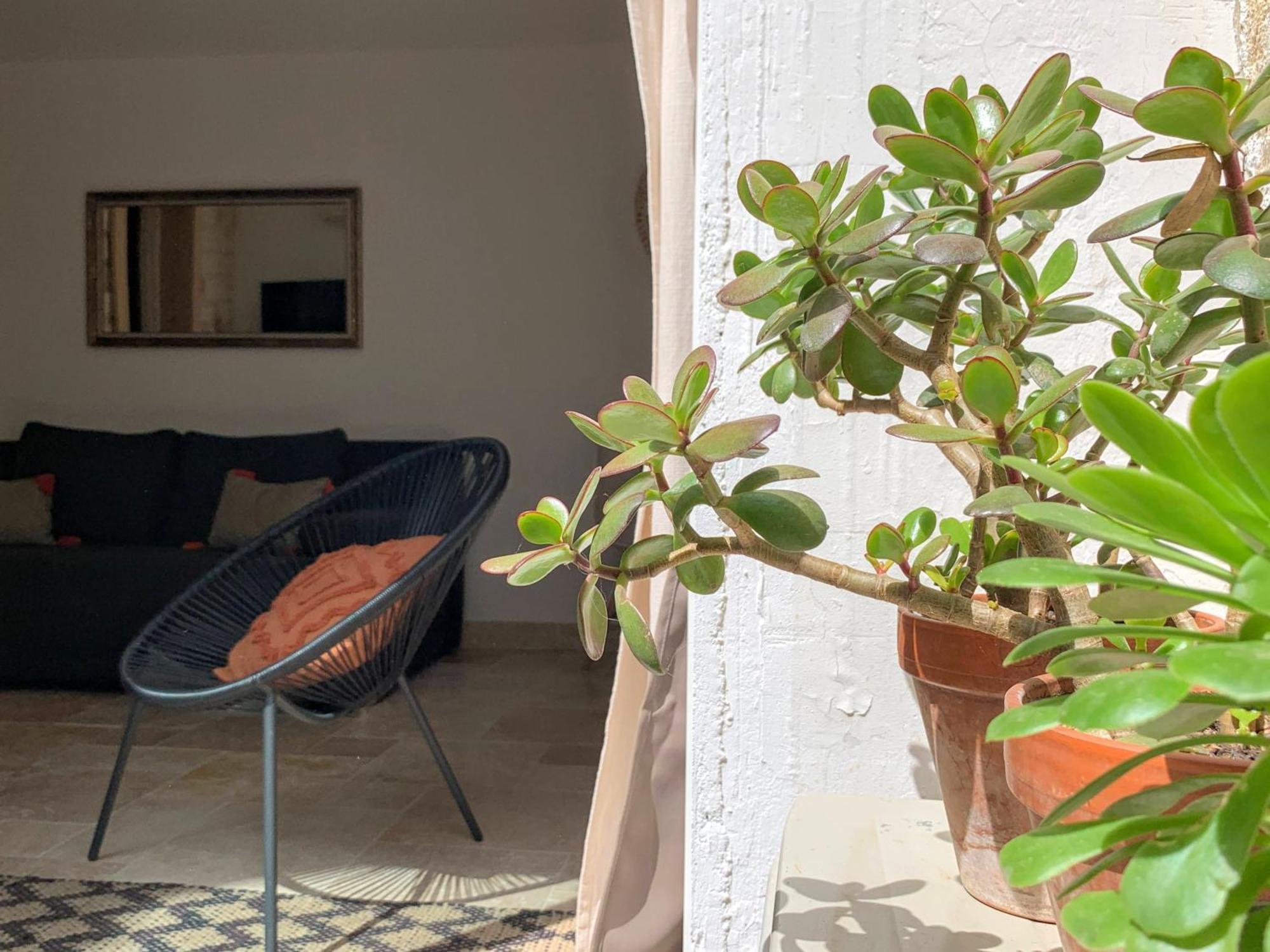 Home Chic Home - La Terrasse Bazille Montpellier Exterior photo